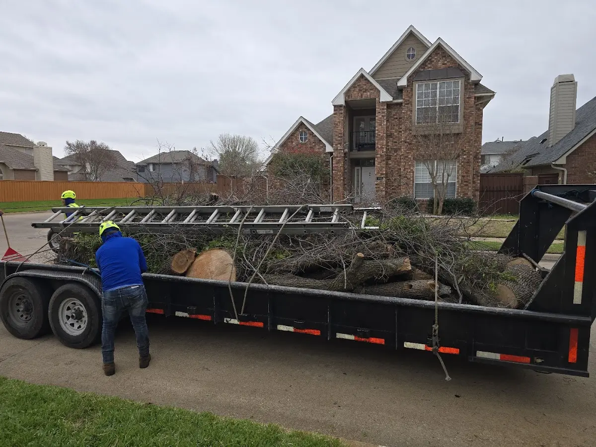 Expert Lot Clearing with proper safety equipment in Teaneck